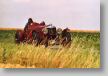 Riley Racing Sport 31
